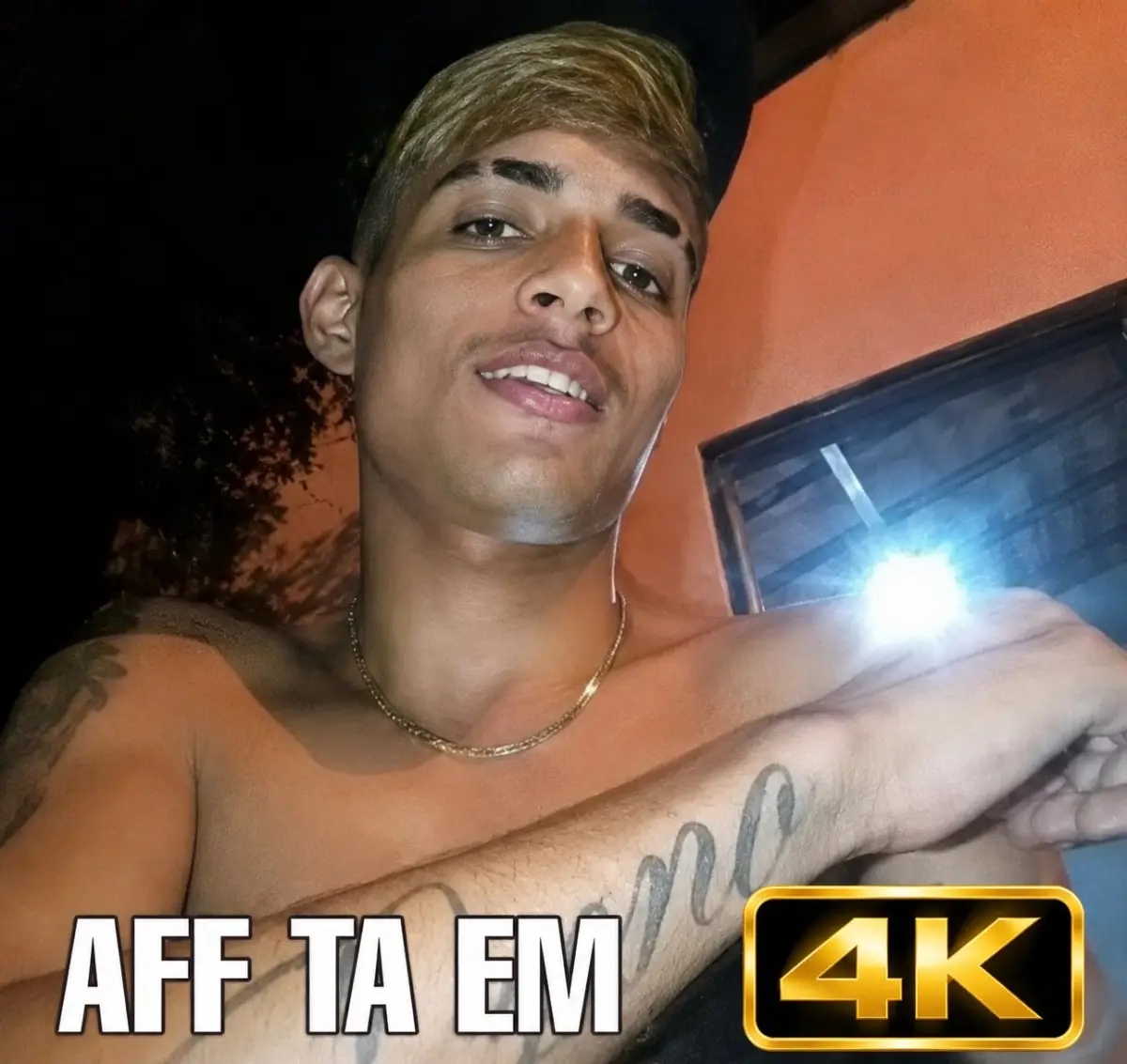 imagem do comentário do membro do fórum
