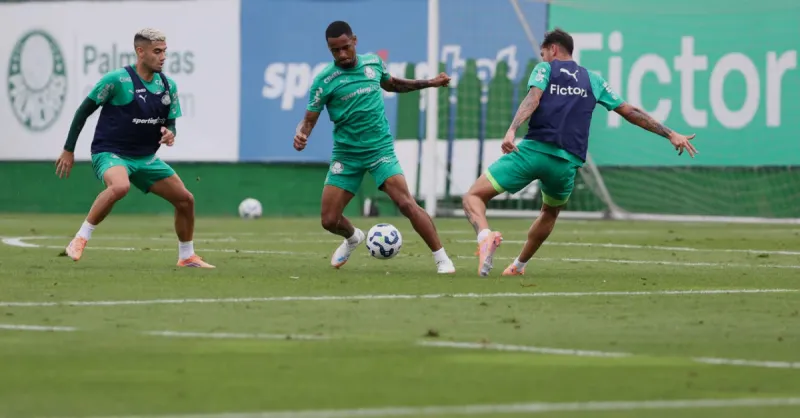 Palmeiras: Análise Detalhada do Treino de Domingo e a Busca pela Excelência