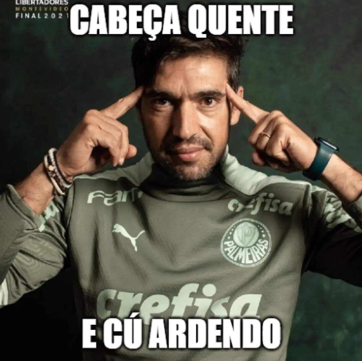 Trabalho do abel aprovado